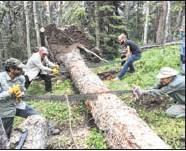 Groups partner on trail maintenance