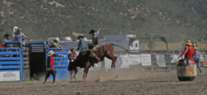 Ouray County Rodeo canceled