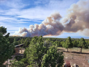 Three structures burned in Simms Mesa Fire, evacuations still in place