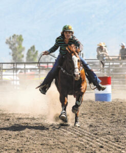 FINE DAY AT THE FAIRGROUNDS