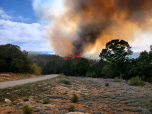 Investigation confirms prescribed burn started Simms Fire