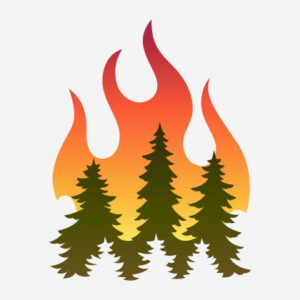 Crews responding to lightning-strike fire above Ouray